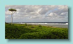 123_Eafte East Coast